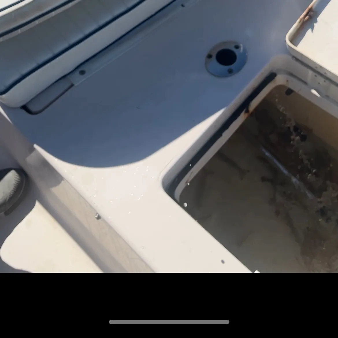 The most recent Scup catches on Fishbrain