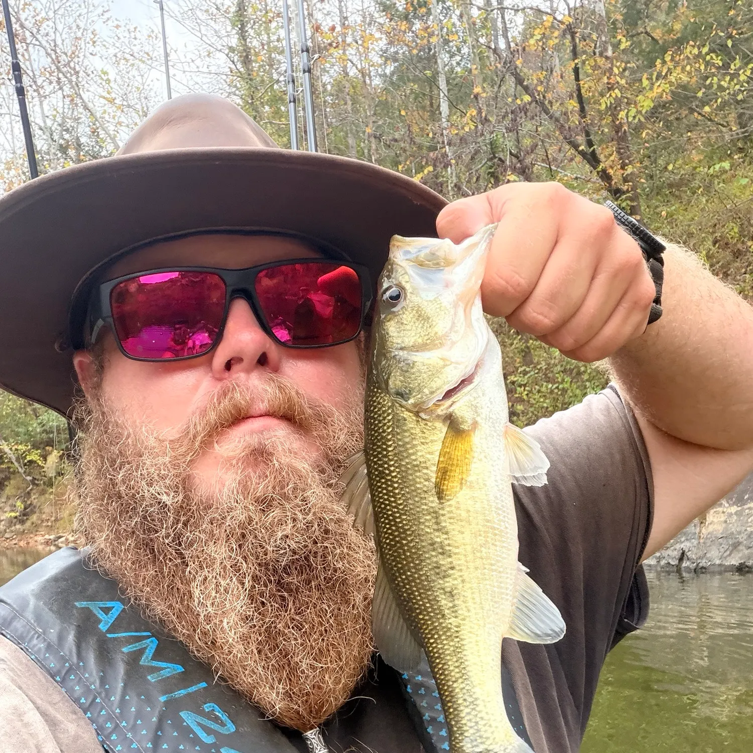 Largemouth bass caught on Fishbrain