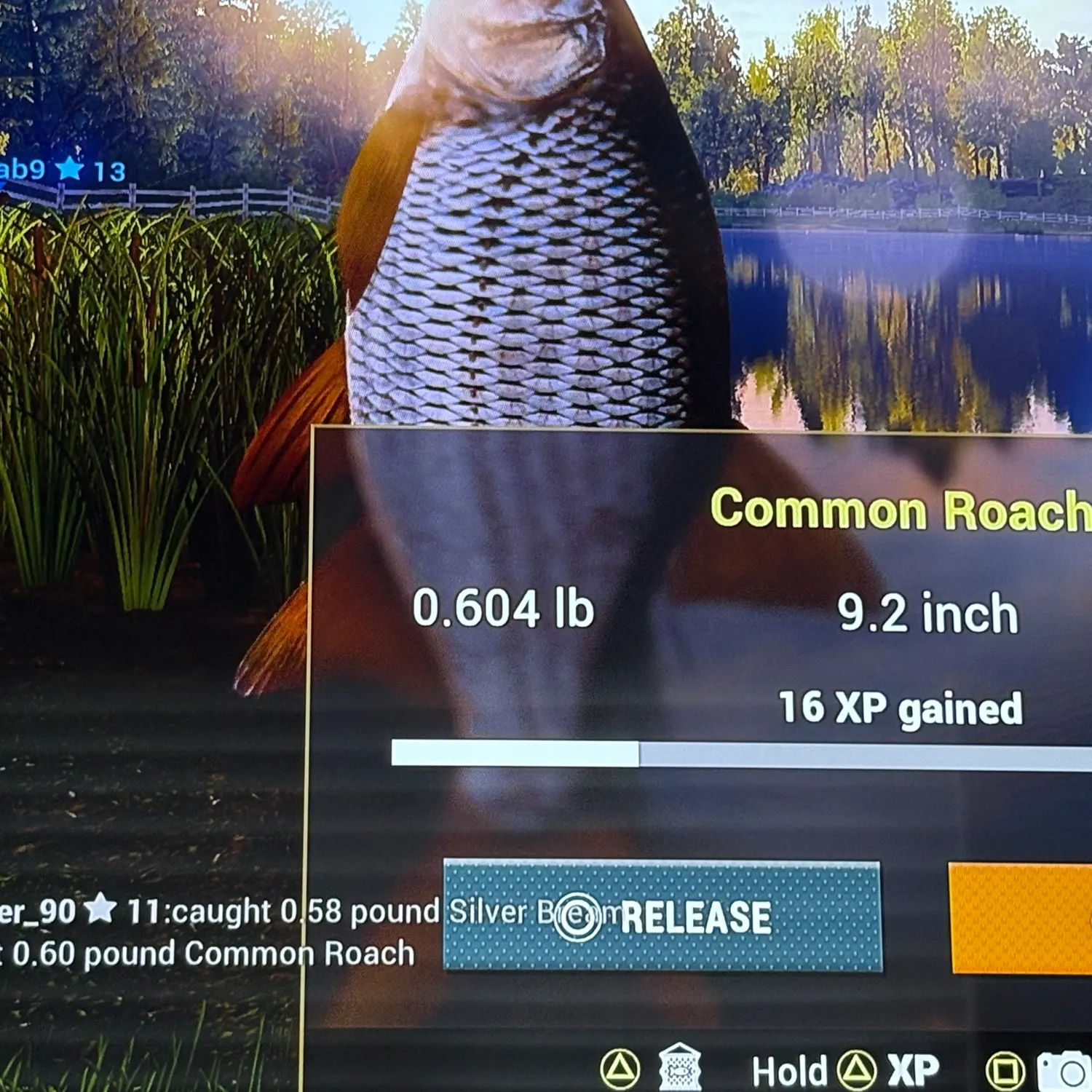 recently logged catches