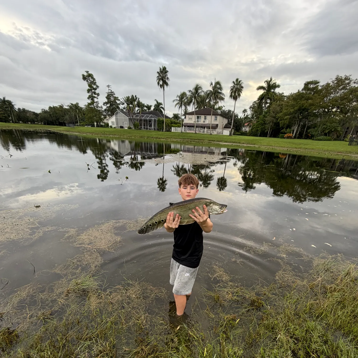 The most recent Clown knifefish catches on Fishbrain