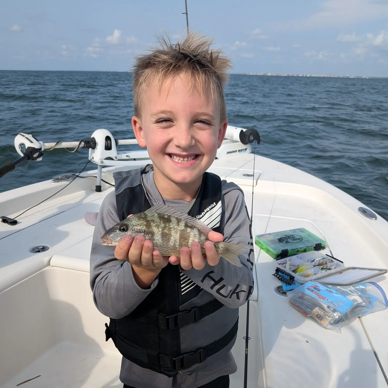 The most recent Jolthead porgy catches on Fishbrain