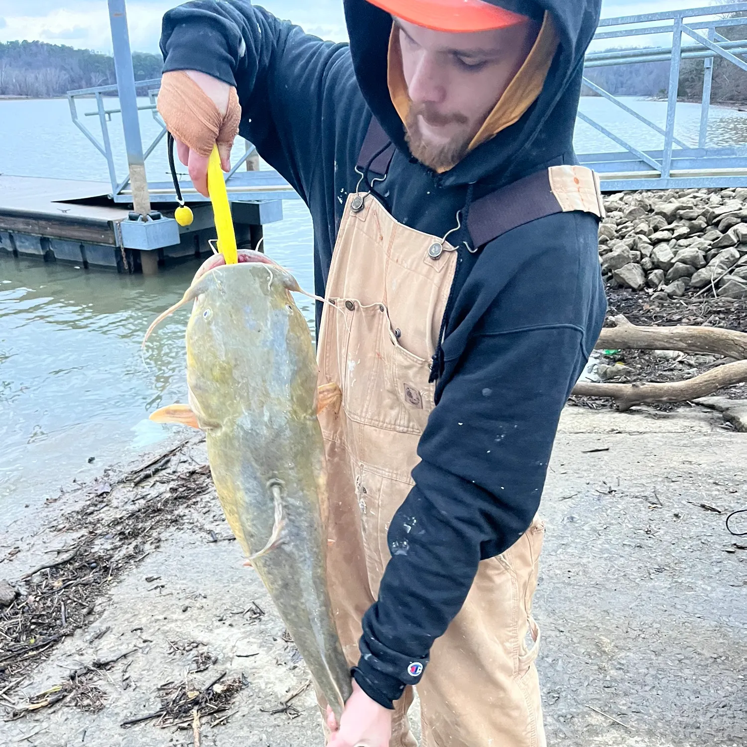 The most recent Flathead catfish catches on Fishbrain