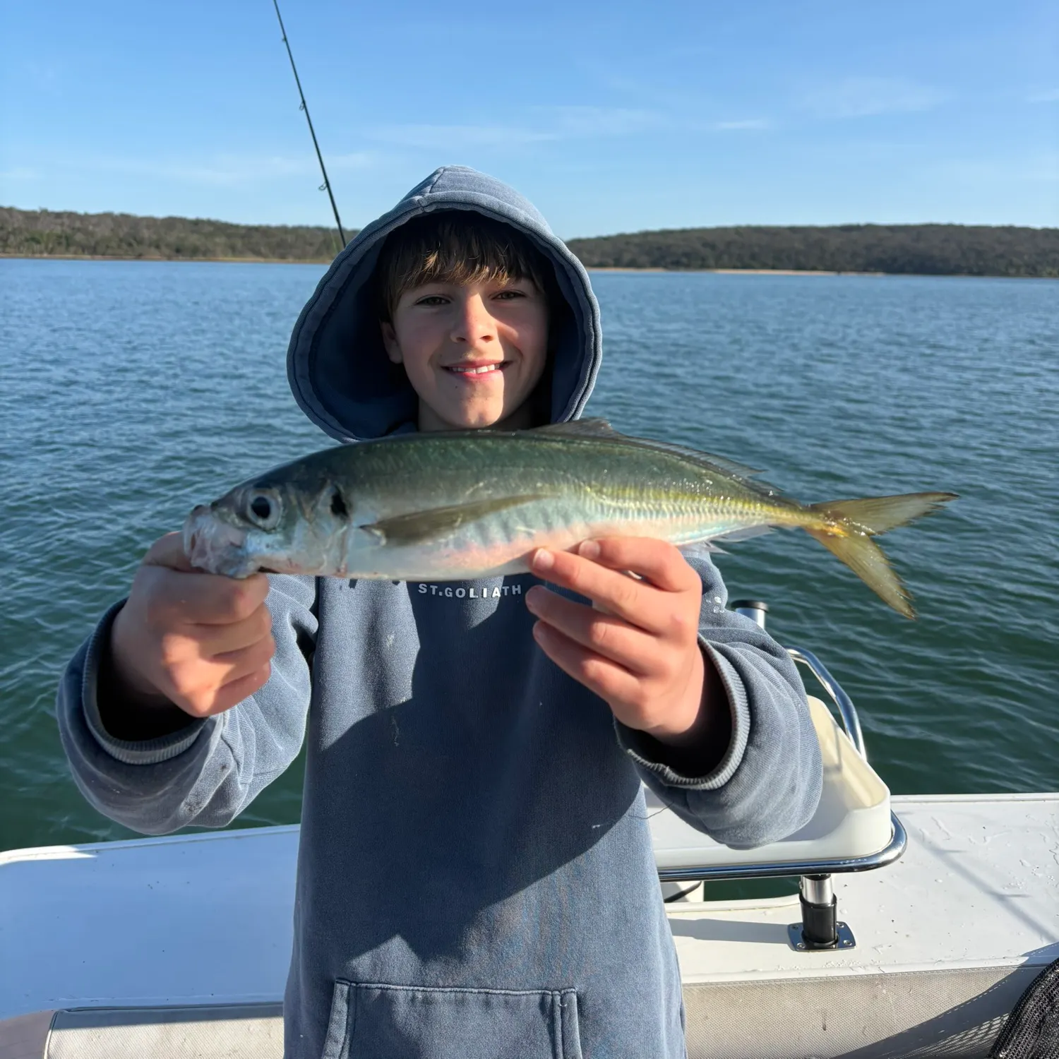 Yellowtail scad caught on Fishbrain