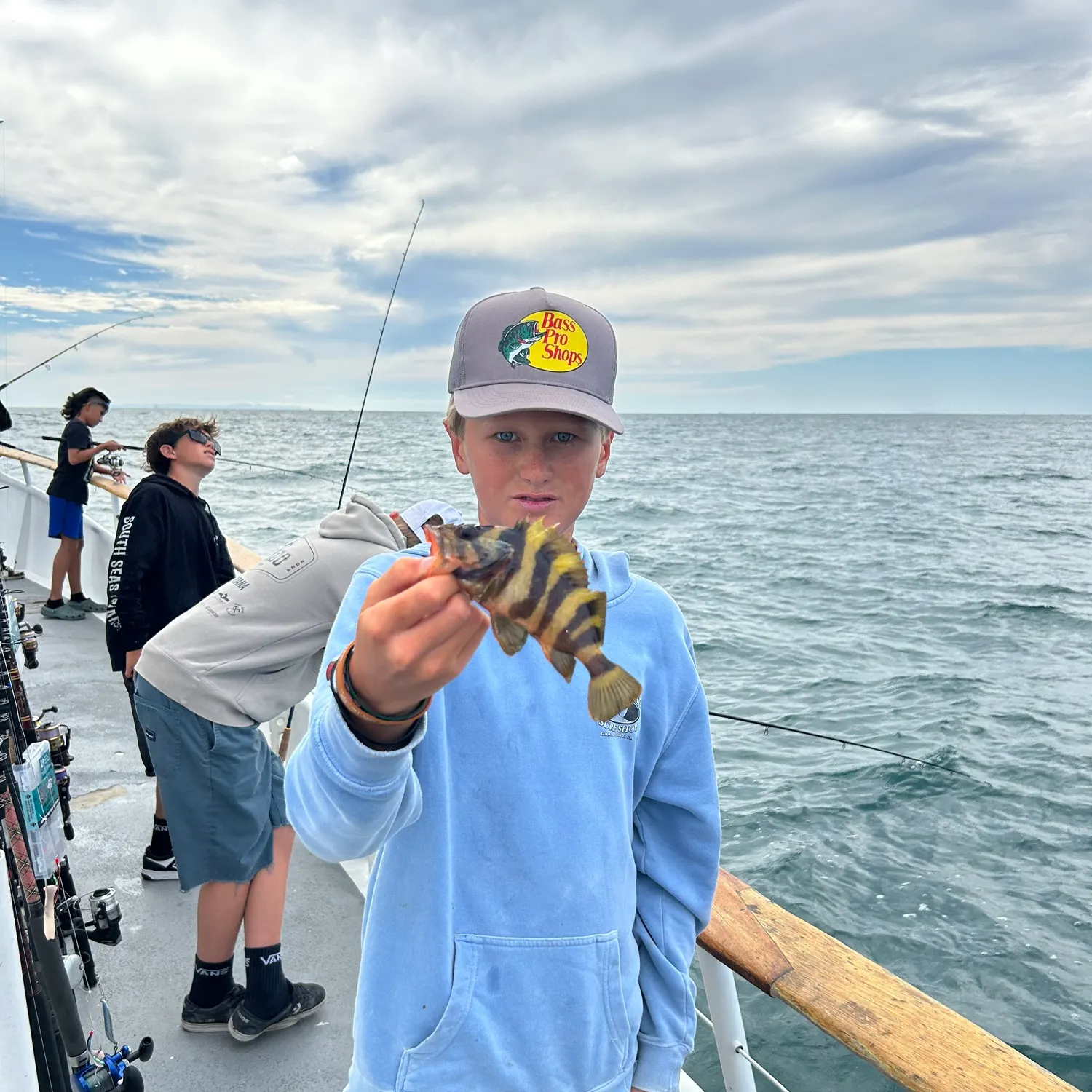 The most recent Treefish catches on Fishbrain