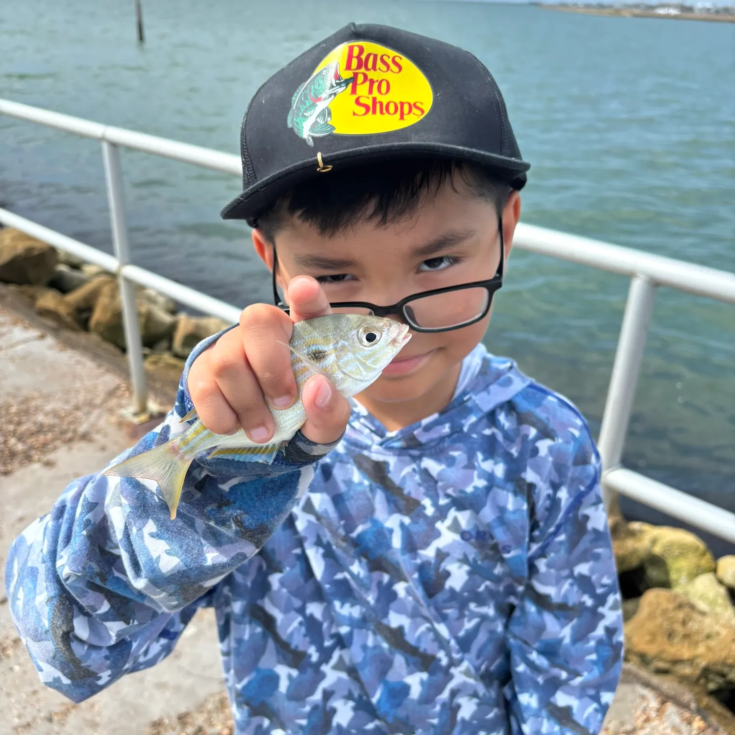 The most recent Pinfish catches on Fishbrain