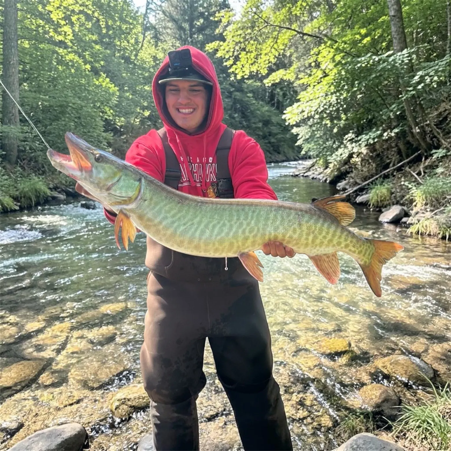 The most recent Muskellunge catches on Fishbrain