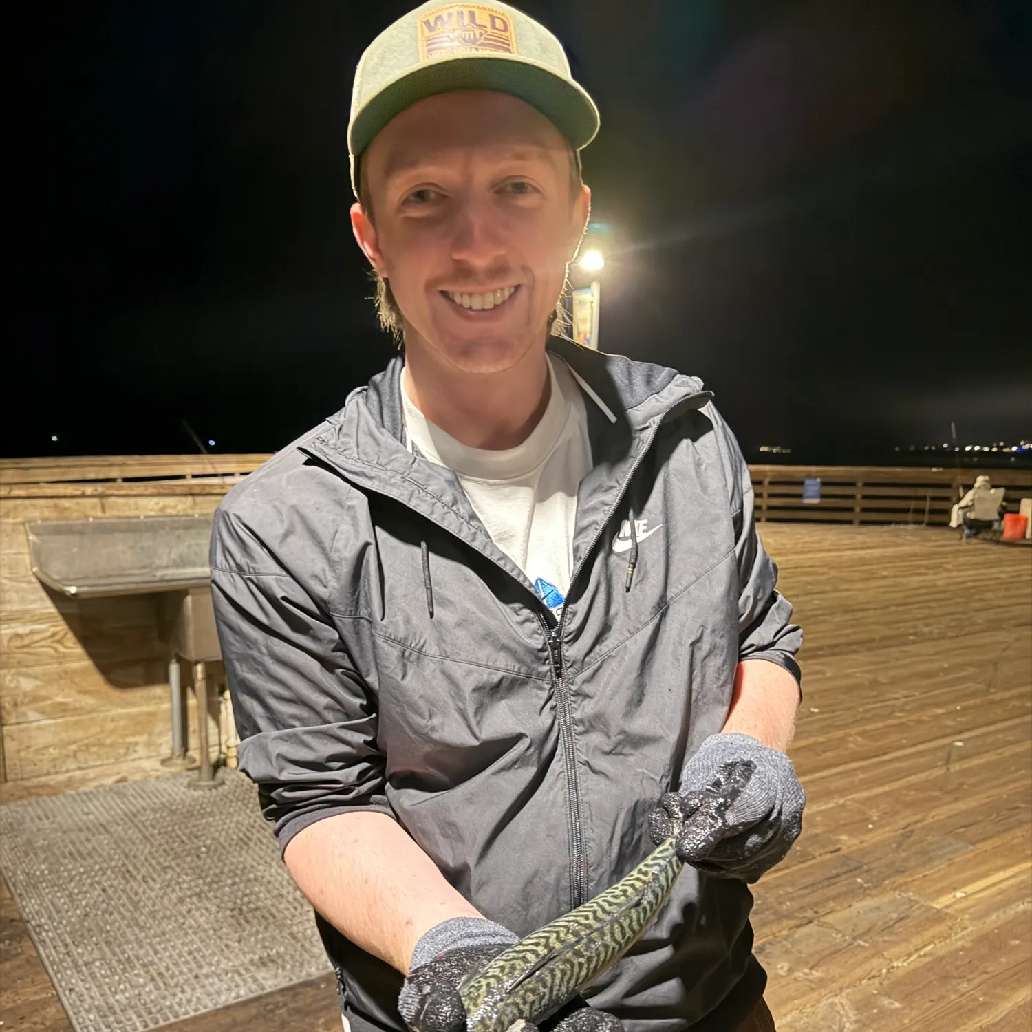 Pacific chub mackerel caught on Fishbrain