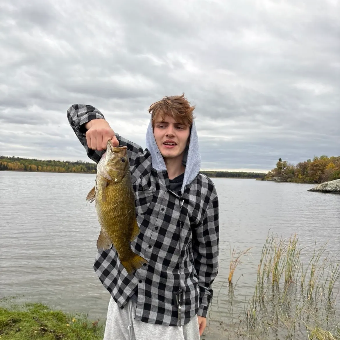 Smallmouth bass caught on Fishbrain