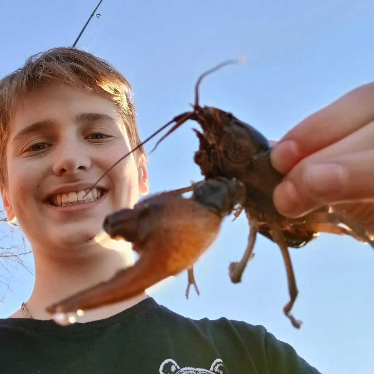 The most recent Signal crayfish catches on Fishbrain