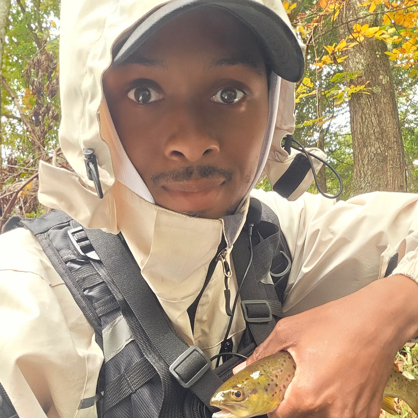 Brown trout caught on Fishbrain