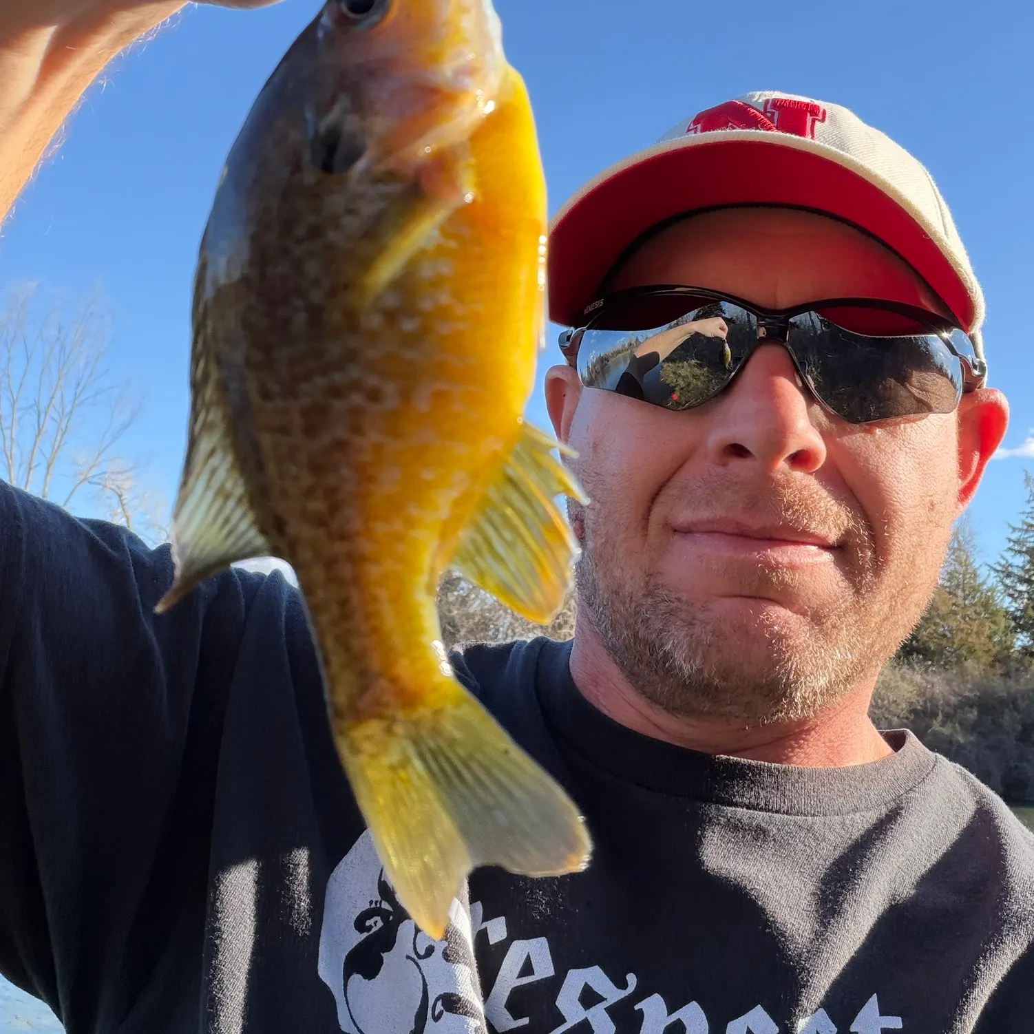 The most recent Green sunfish catches on Fishbrain