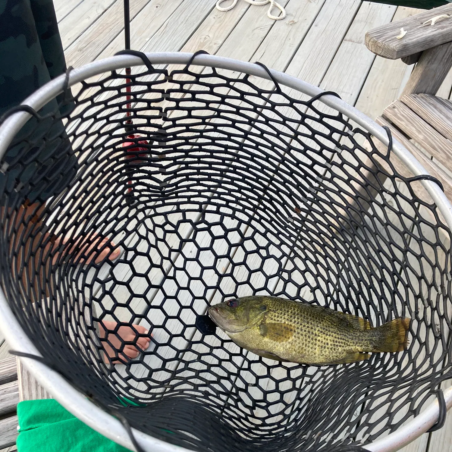 catch