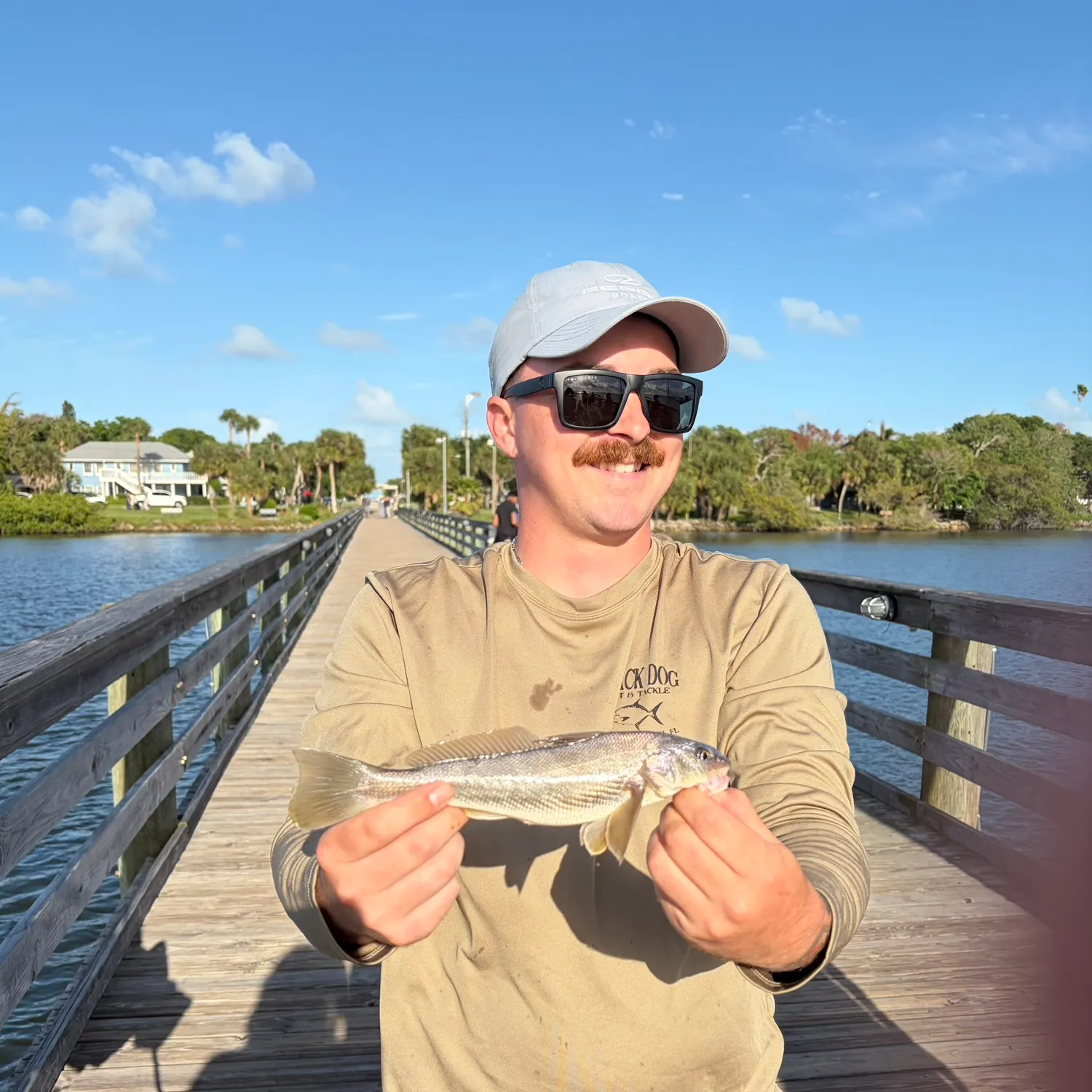The most recent Southern kingcroaker catches on Fishbrain