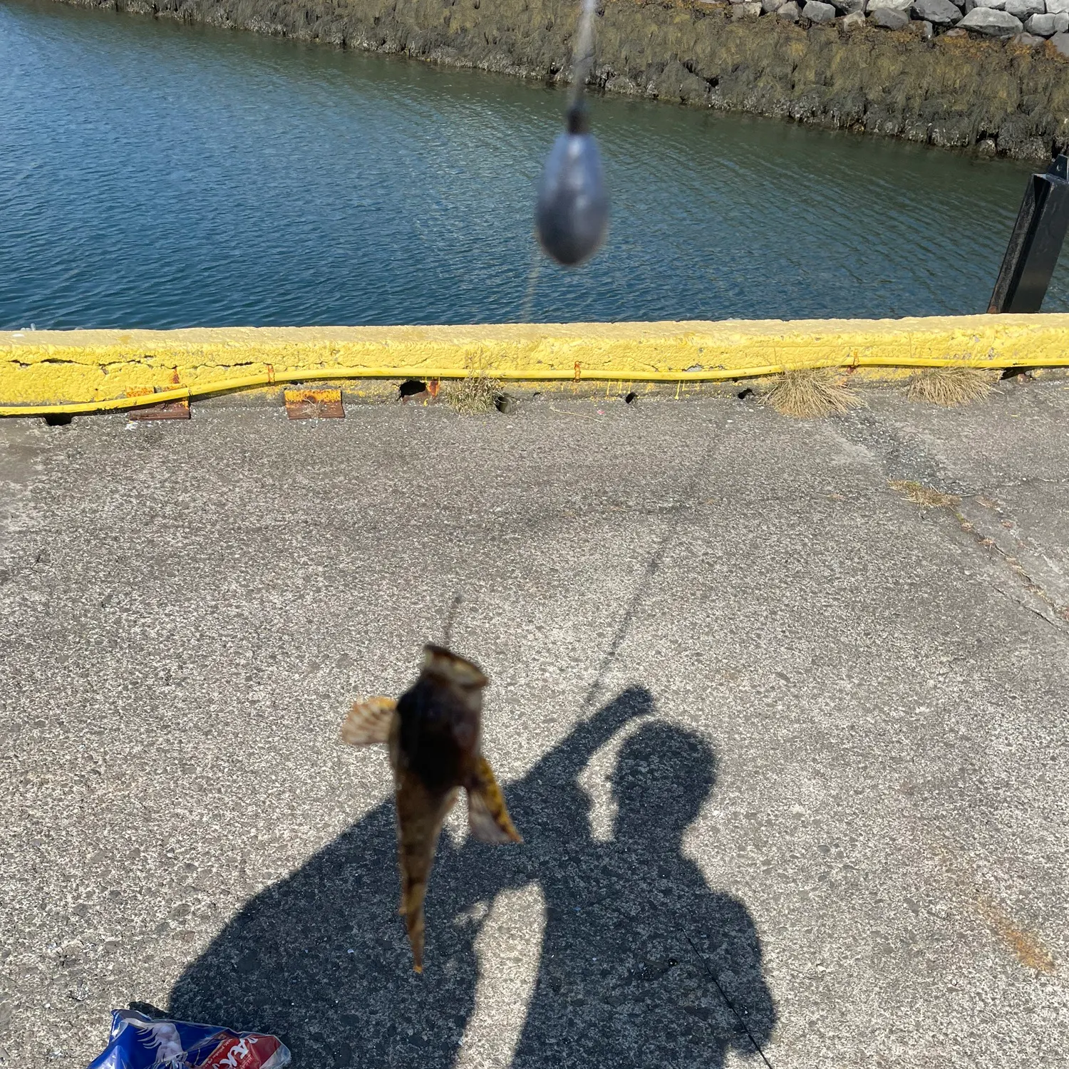 The most recent Shorthorn sculpin catches on Fishbrain