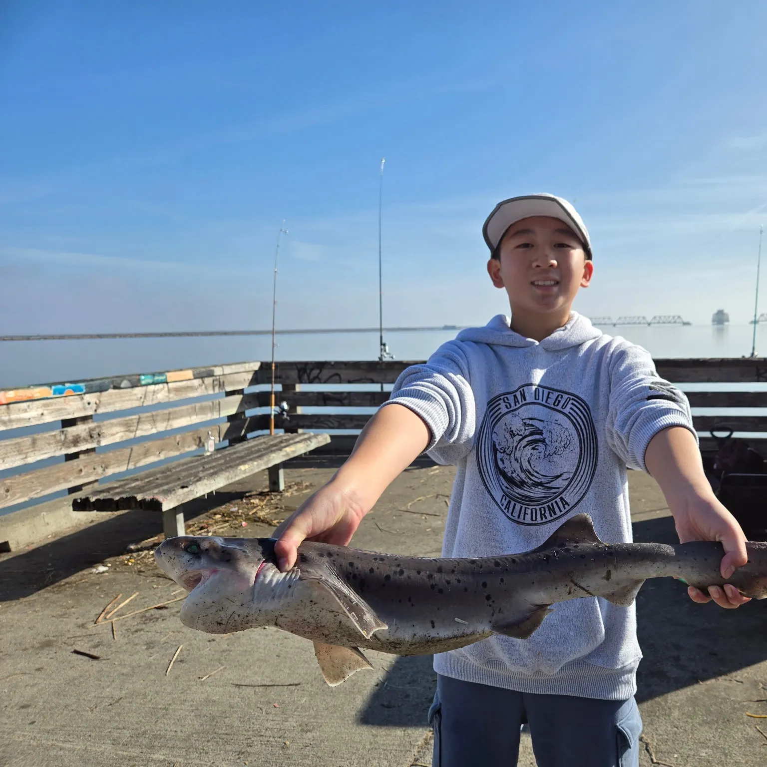 The most recent Broadnose sevengill shark catches on Fishbrain