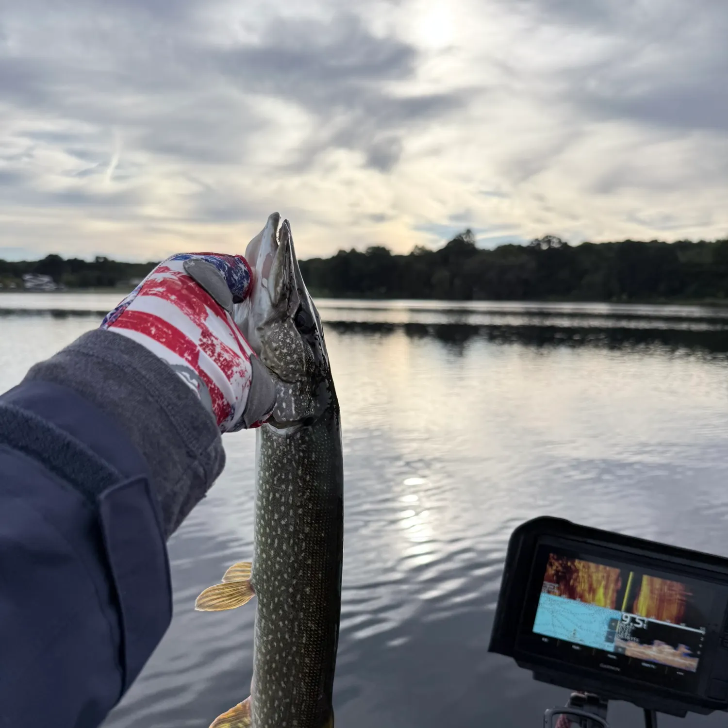Northern pike caught on Fishbrain