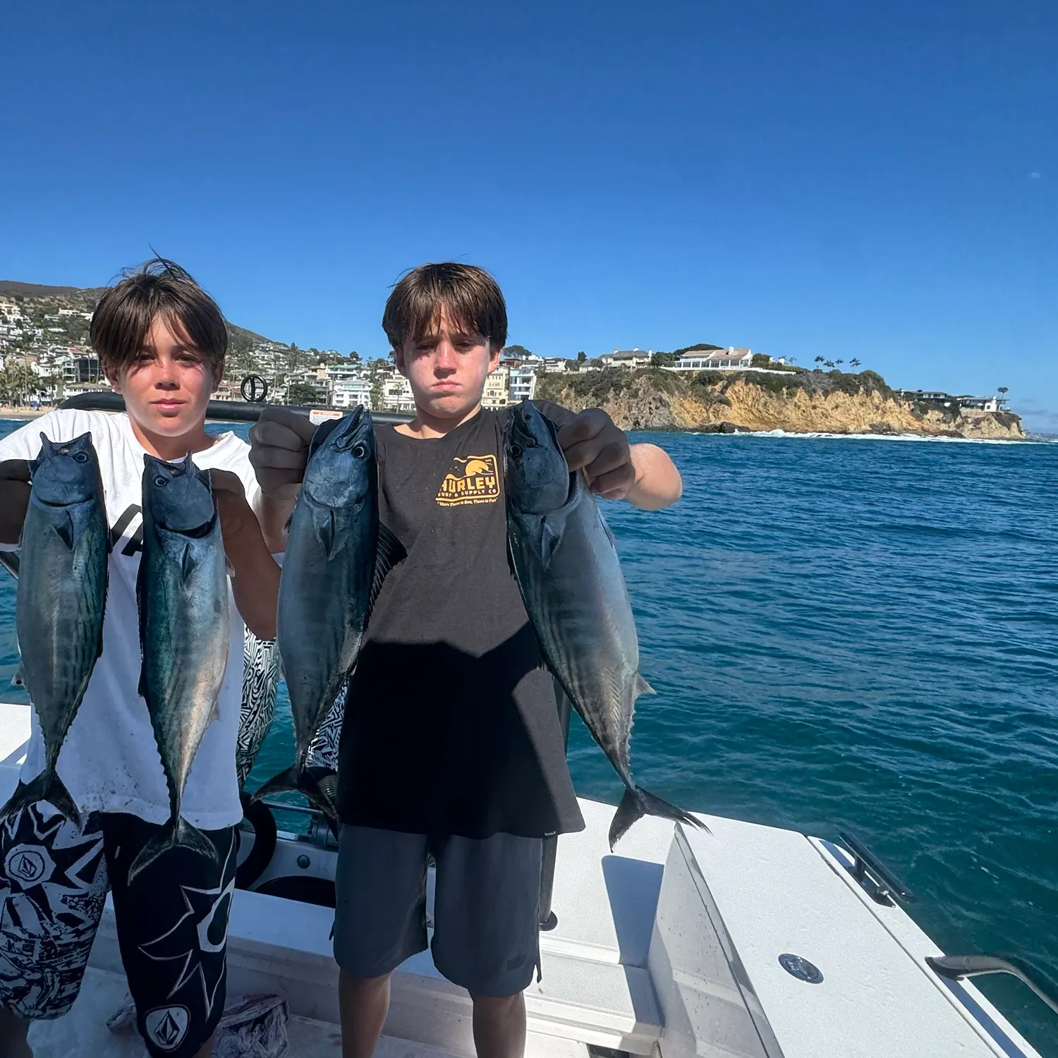 The most recent Eastern Pacific bonito catches on Fishbrain