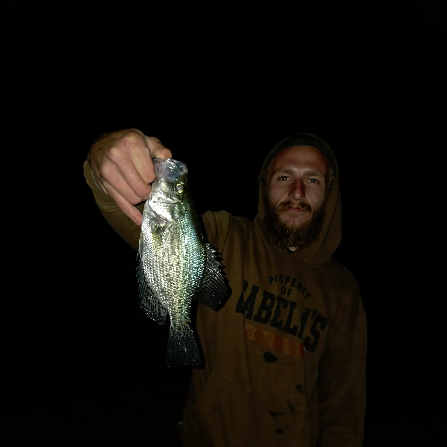 Black crappie caught on Fishbrain