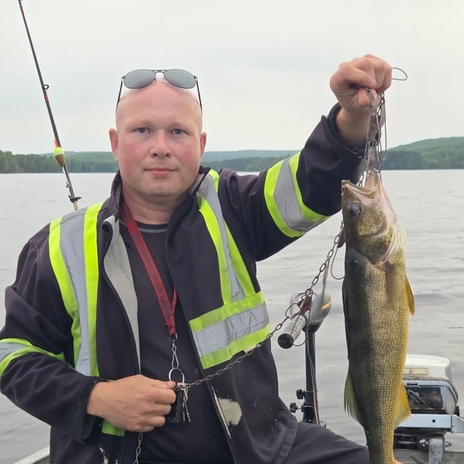 Walleye caught on Fishbrain