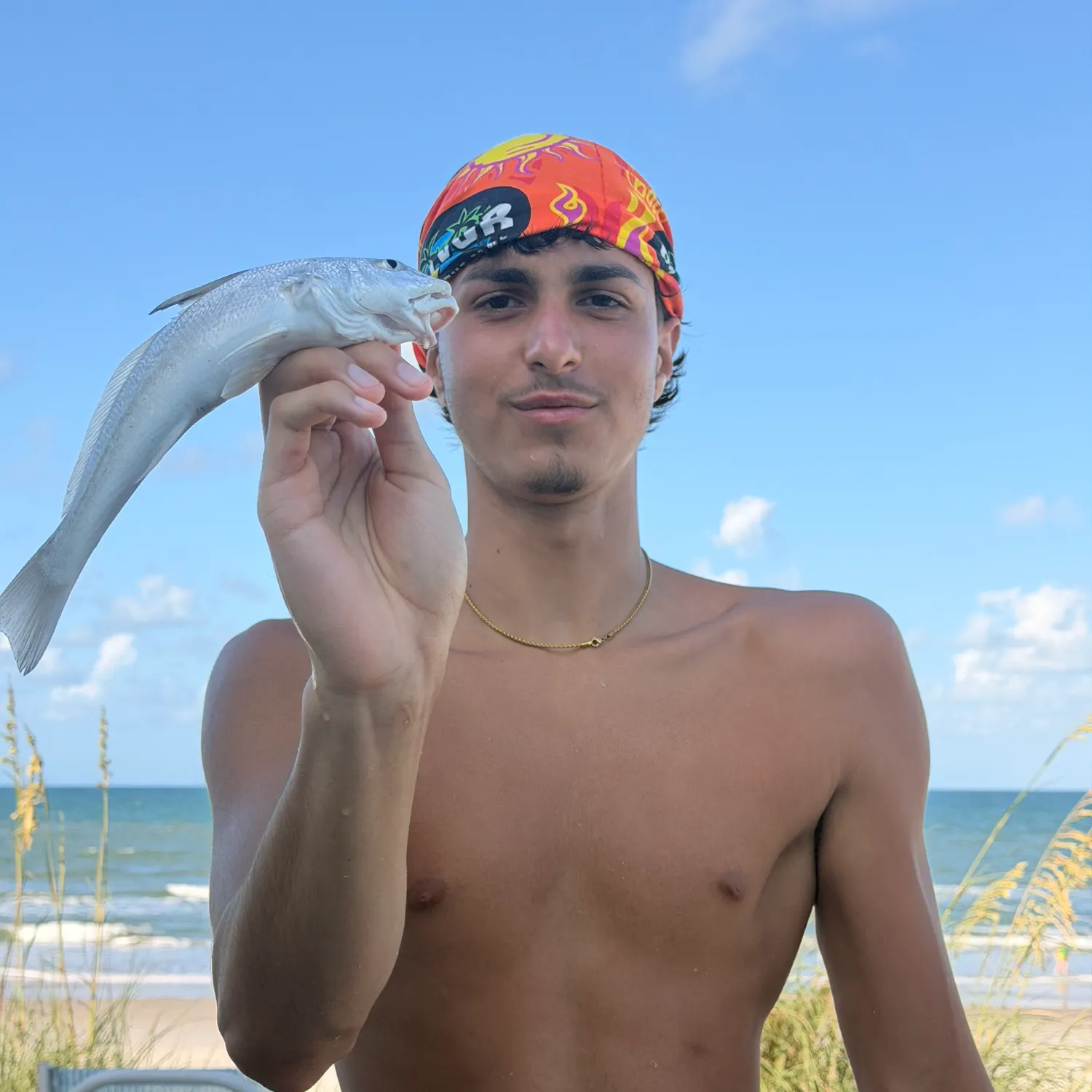 The most recent Southern kingcroaker catches on Fishbrain