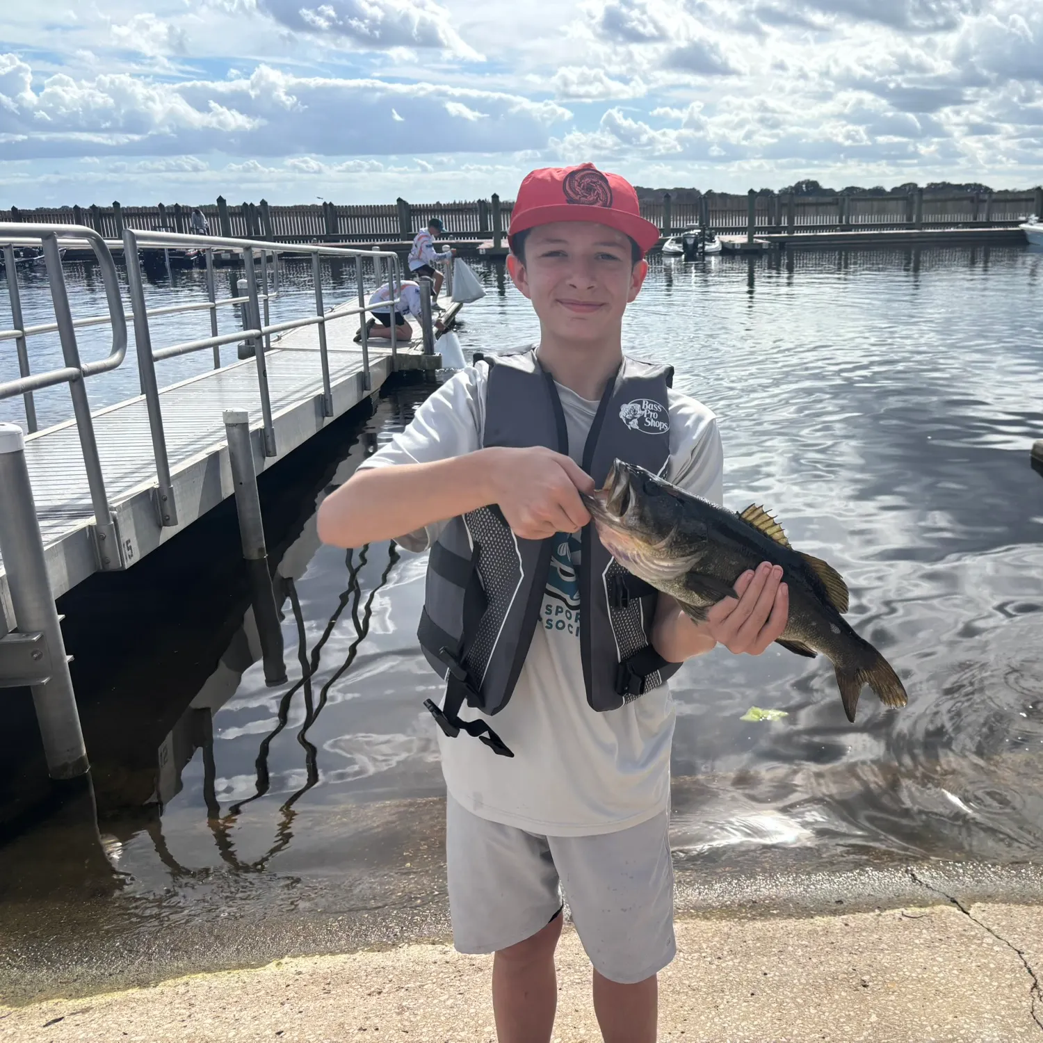 The most recent Largemouth bass catches on Fishbrain