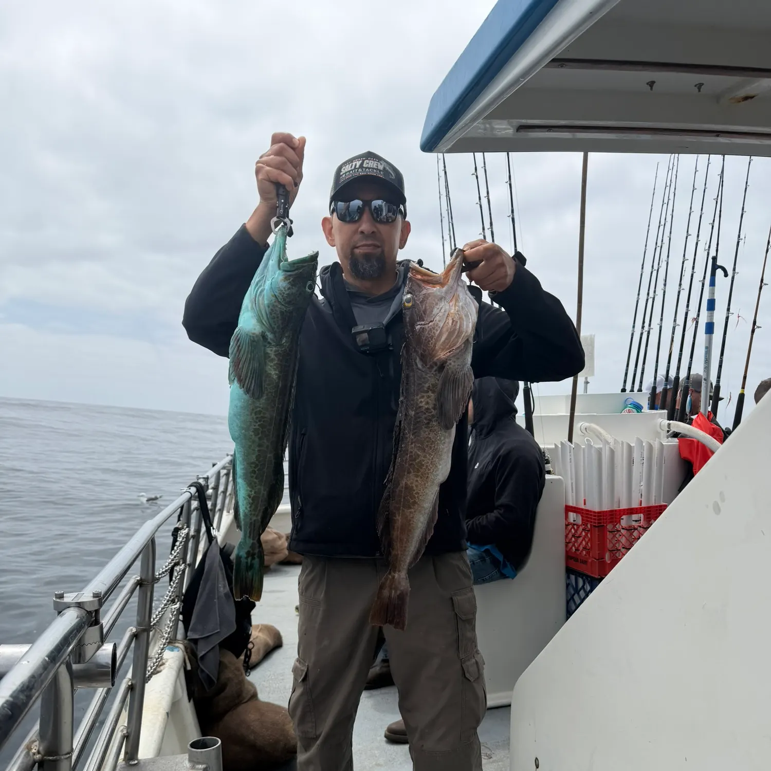 The most recent Lingcod catches on Fishbrain