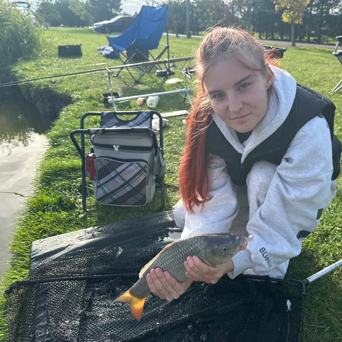 Common carp caught on Fishbrain