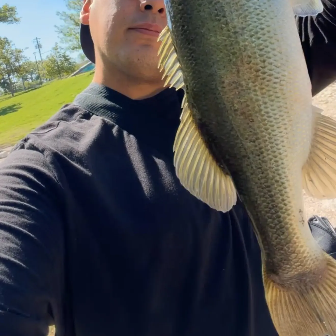 Largemouth bass caught on Fishbrain
