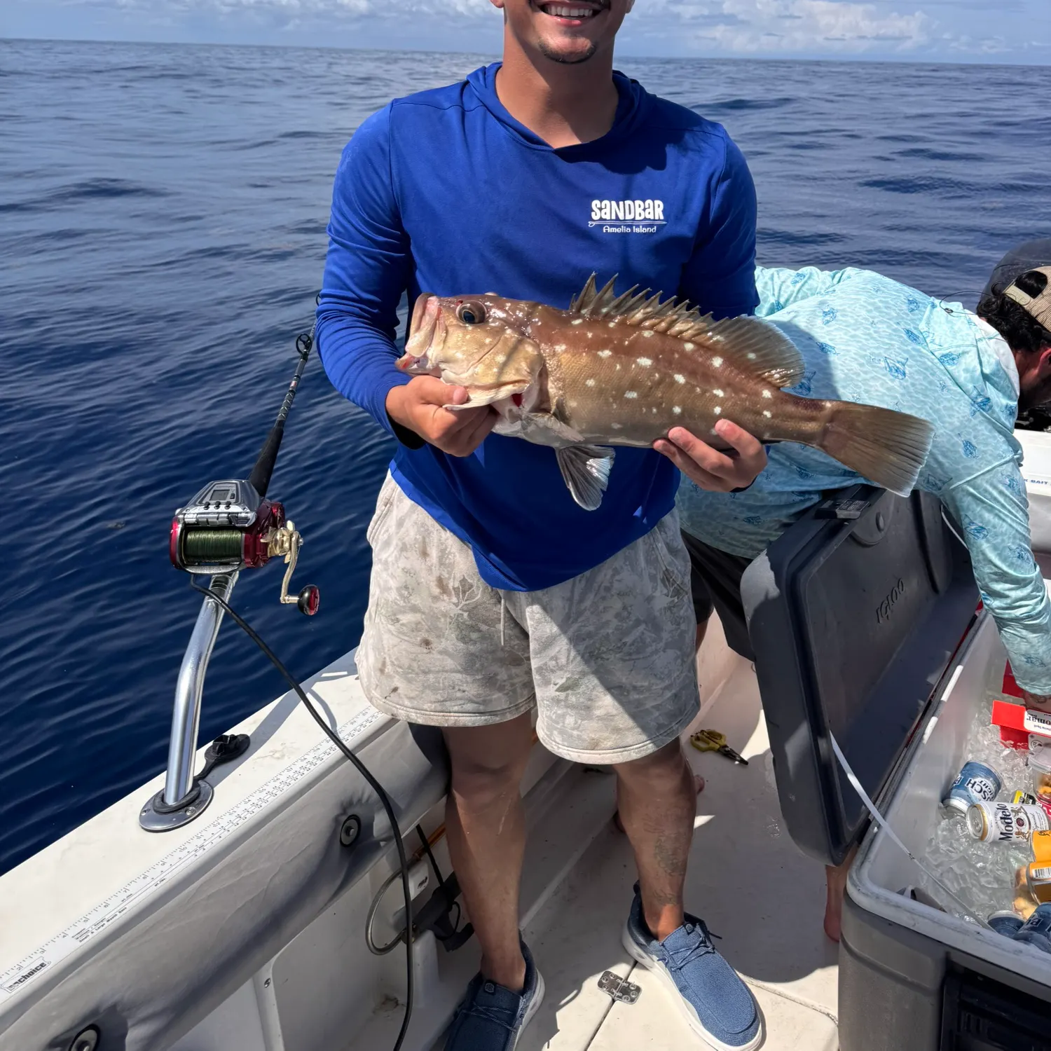 The most recent Snowy grouper catches on Fishbrain
