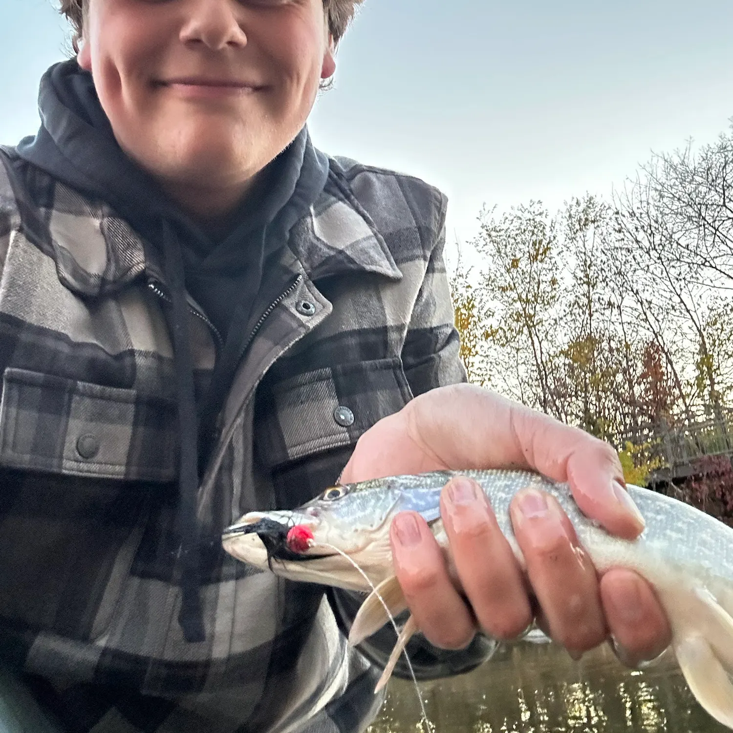 Northern pike caught on Fishbrain