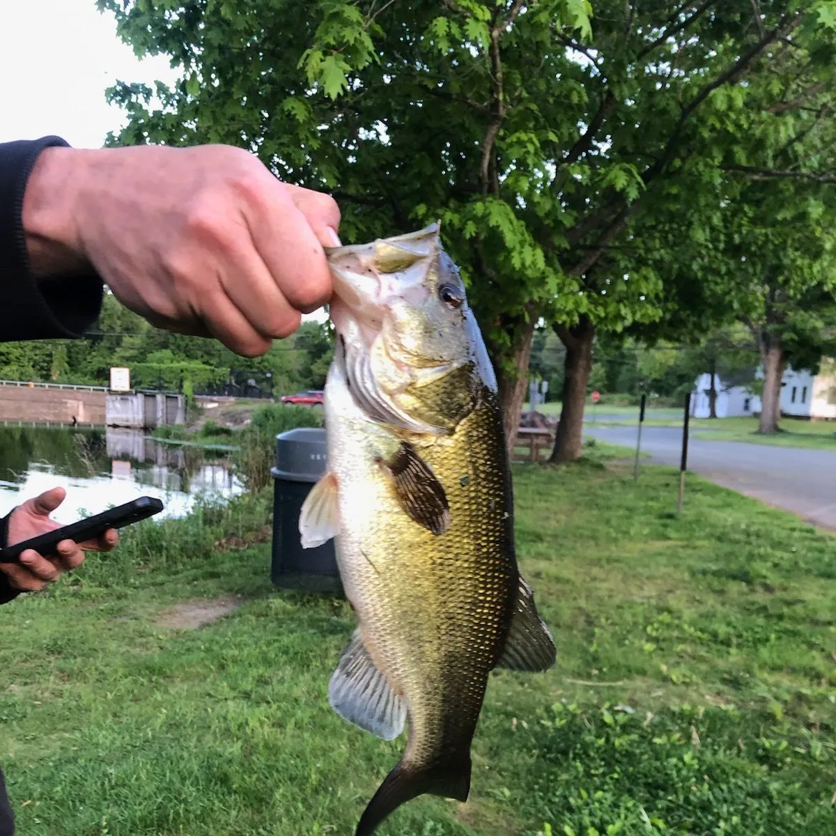 catch