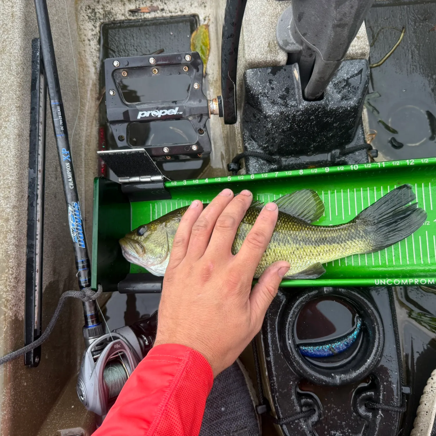 Largemouth bass caught on Fishbrain