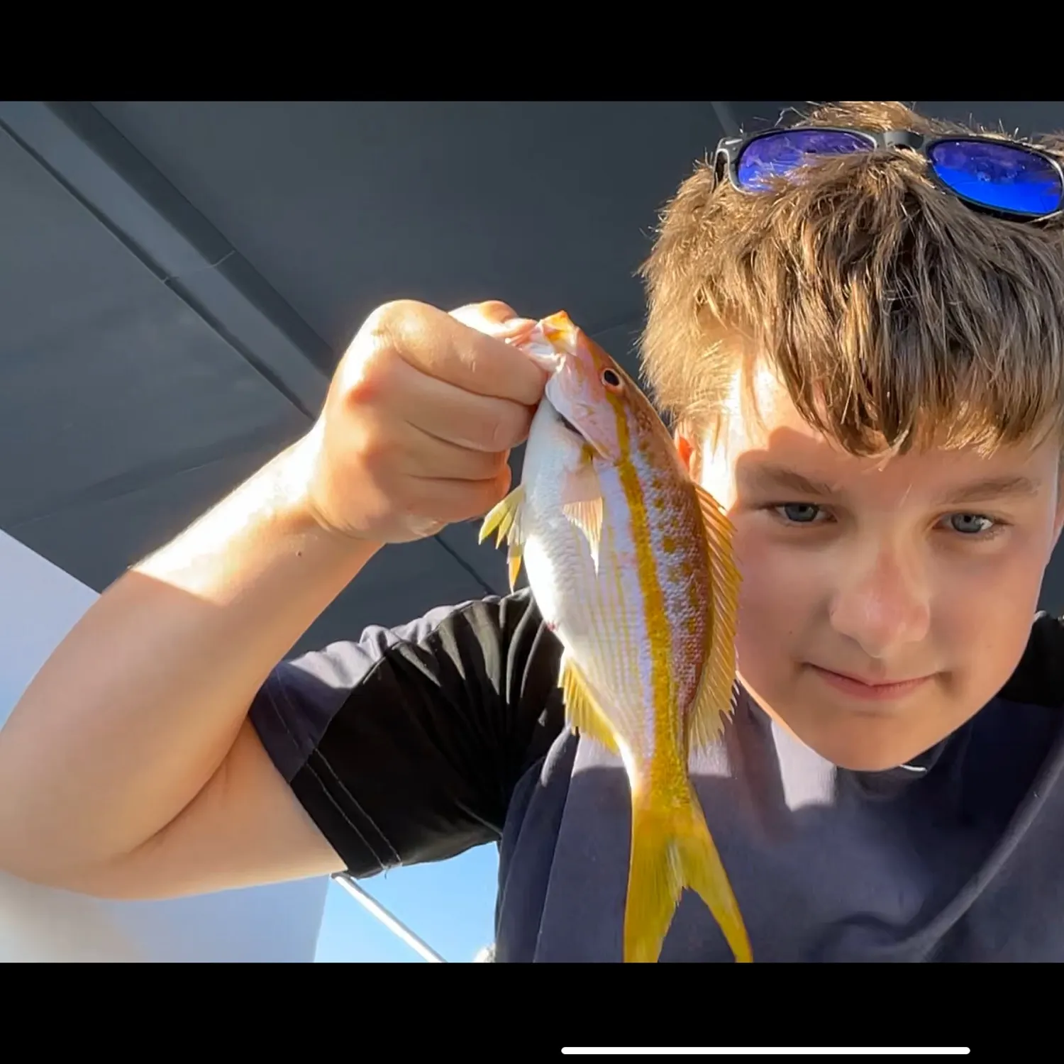 The most recent White grunt catches on Fishbrain