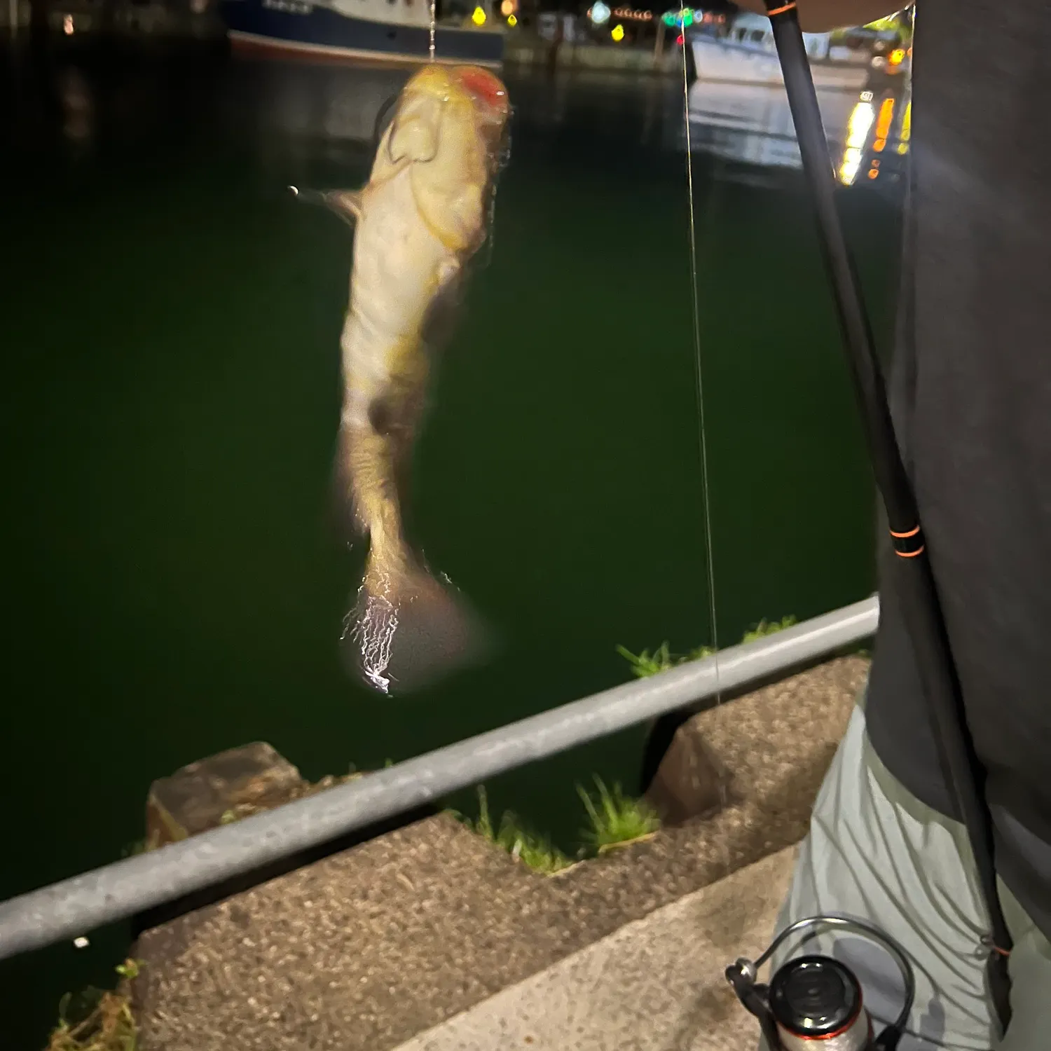 catch