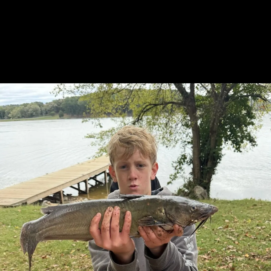 Fish caught on Fishbrain