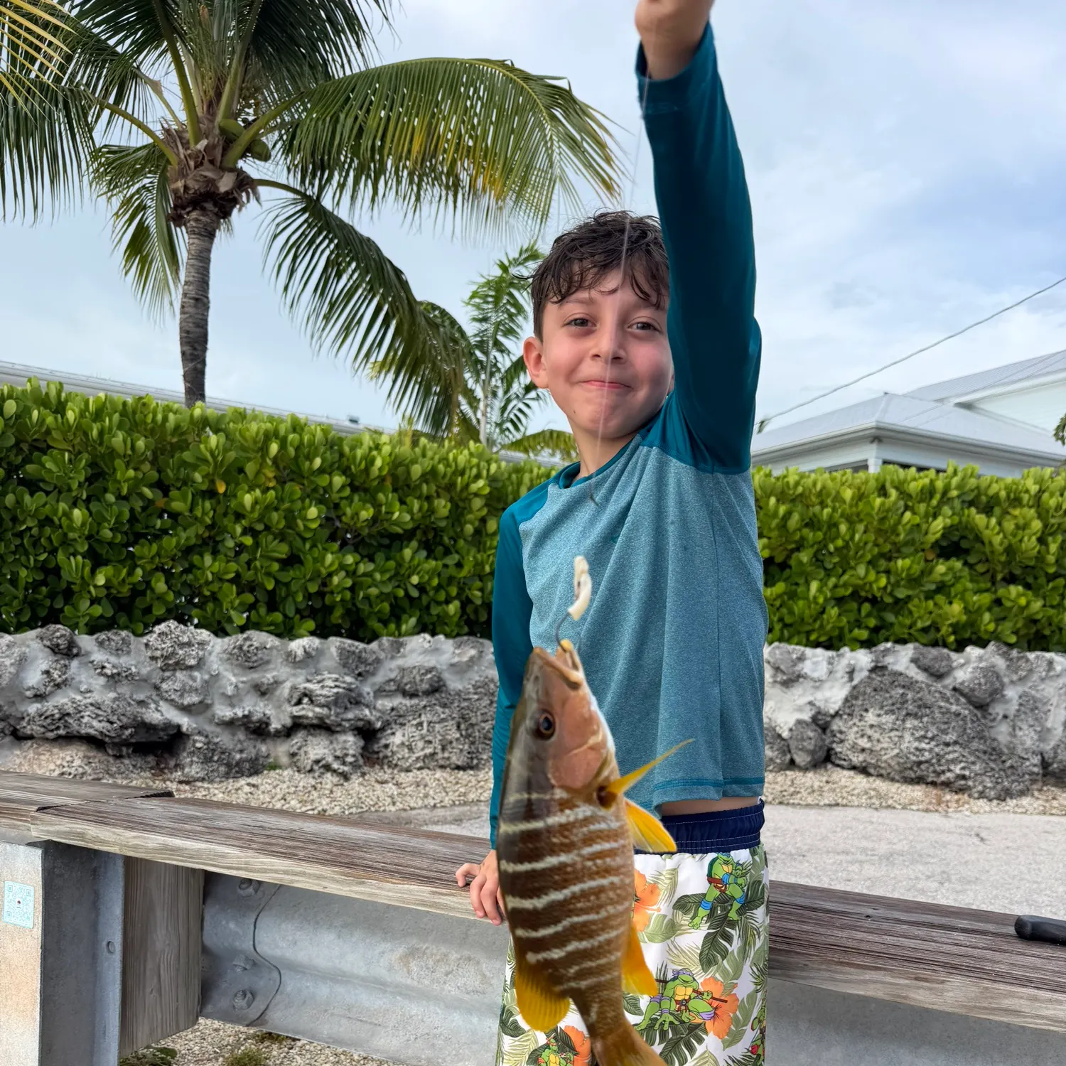 The most recent Schoolmaster snapper catches on Fishbrain
