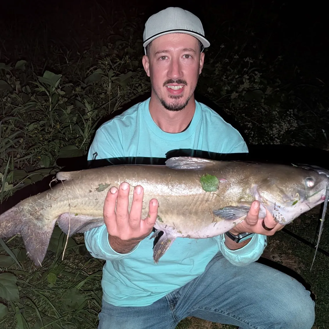 Channel catfish caught on Fishbrain