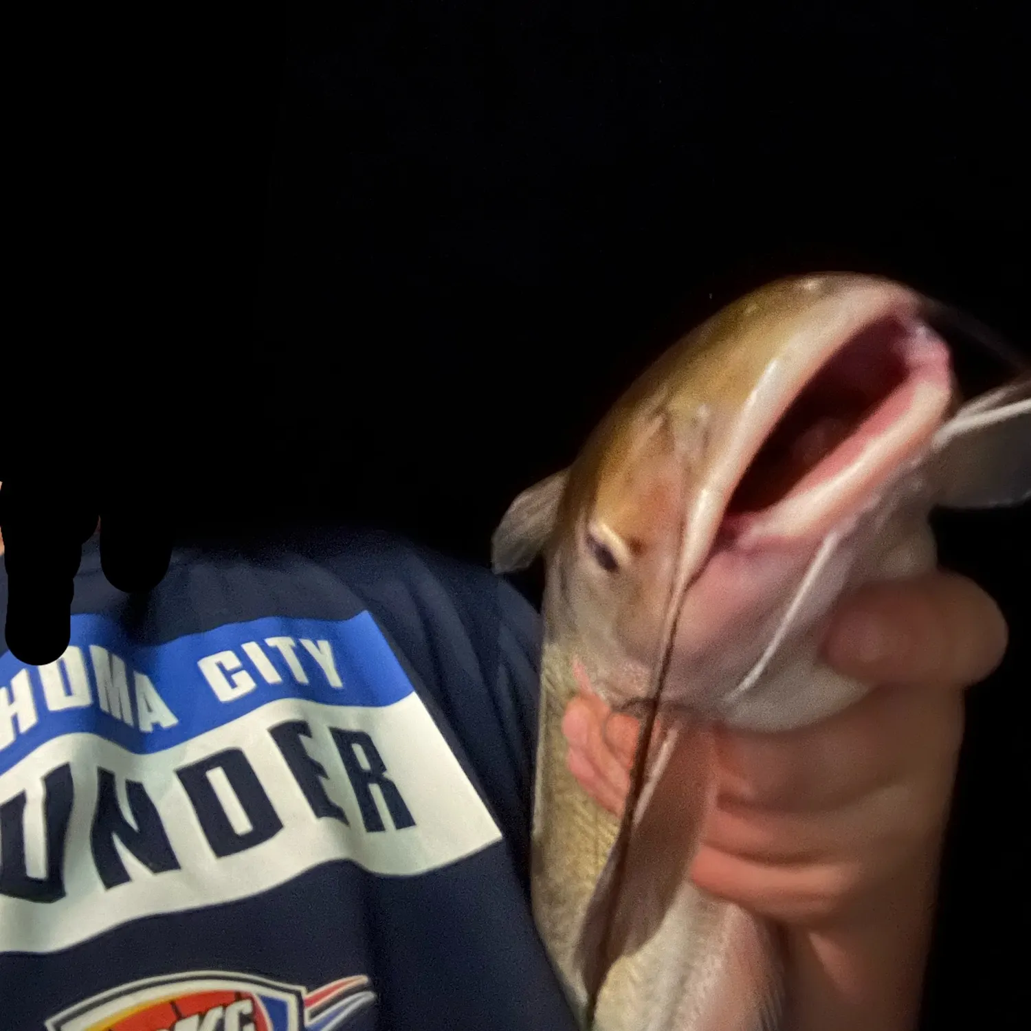 The most recent Channel catfish catches on Fishbrain