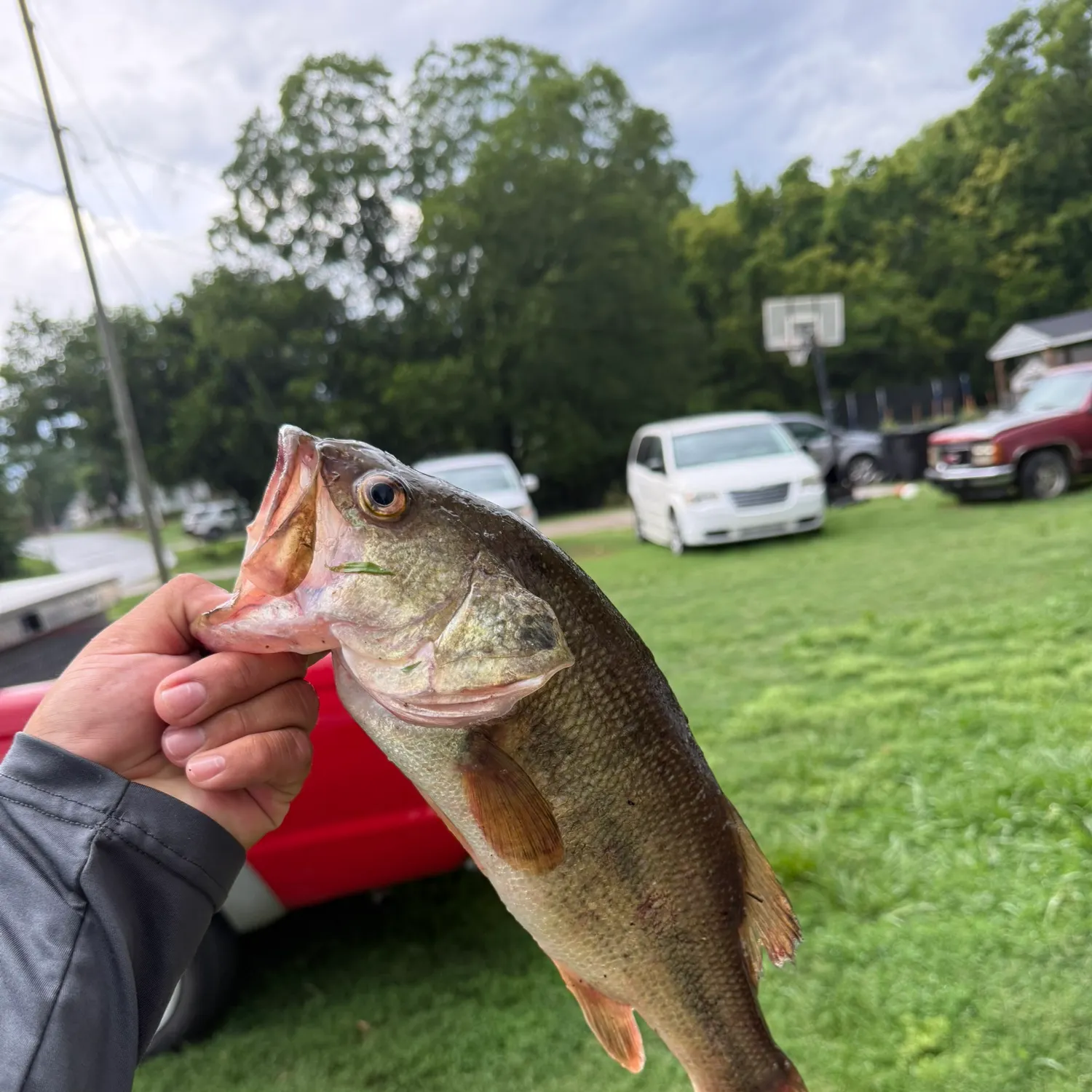 catch