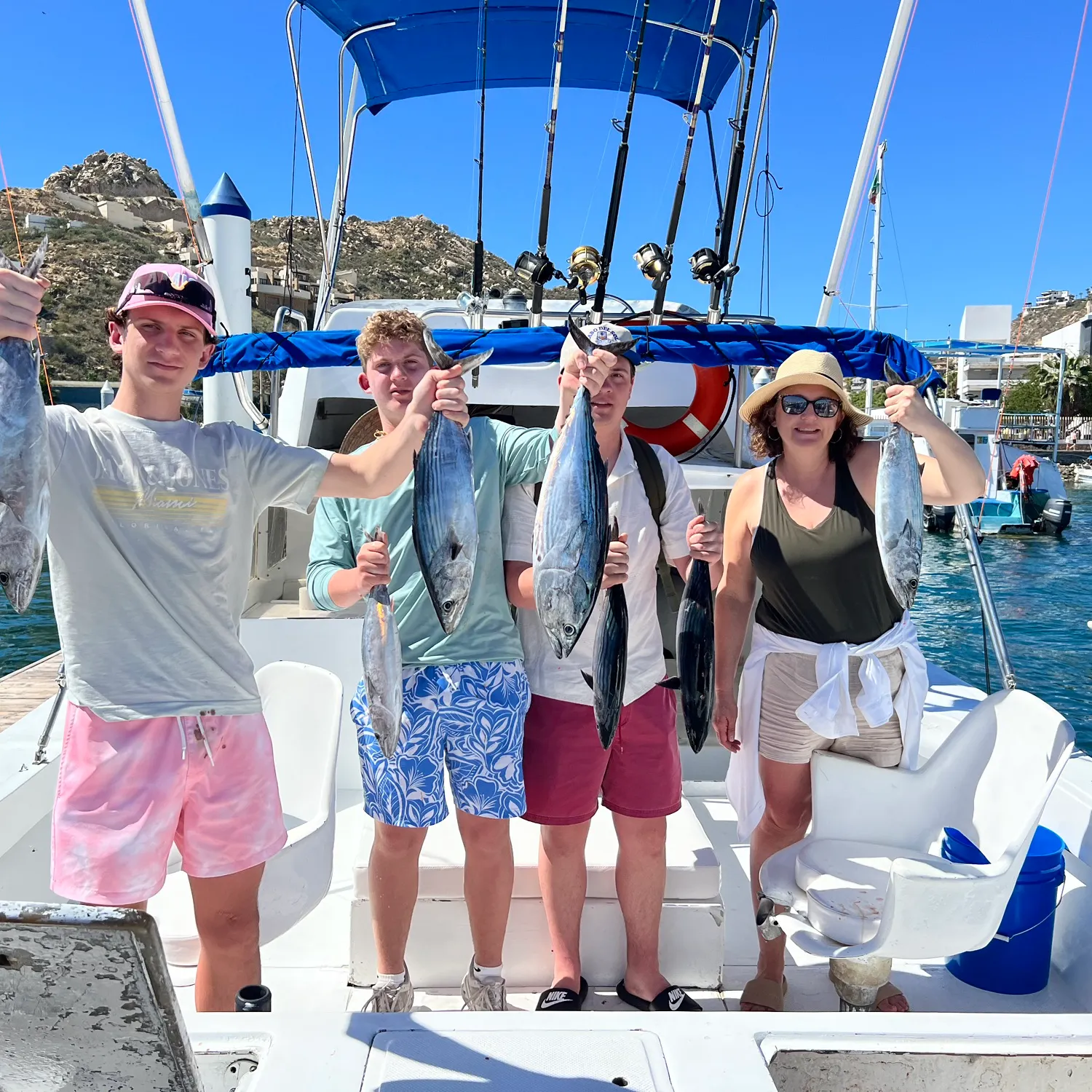 The most recent Pacific bonito catches on Fishbrain