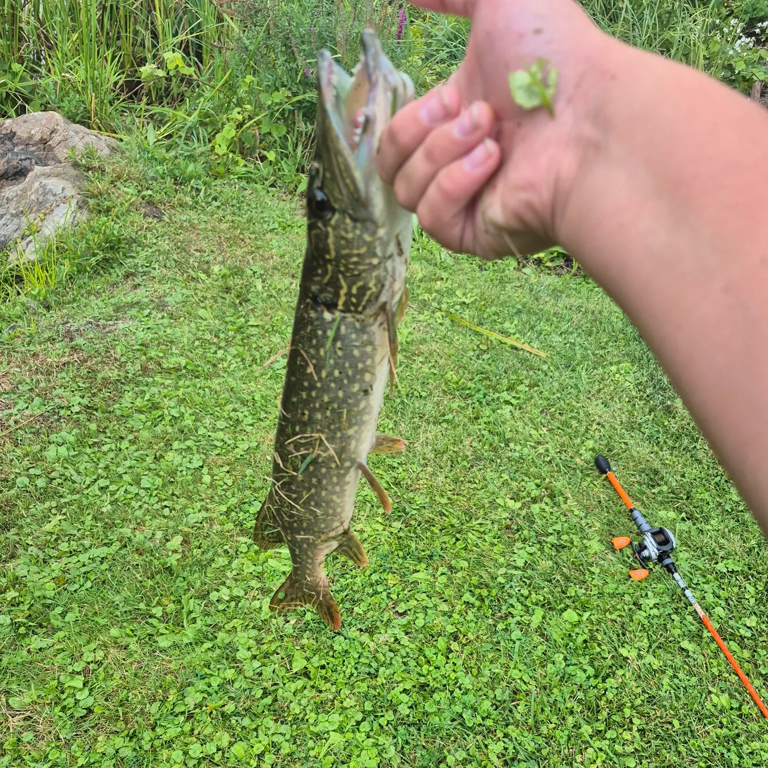 catch