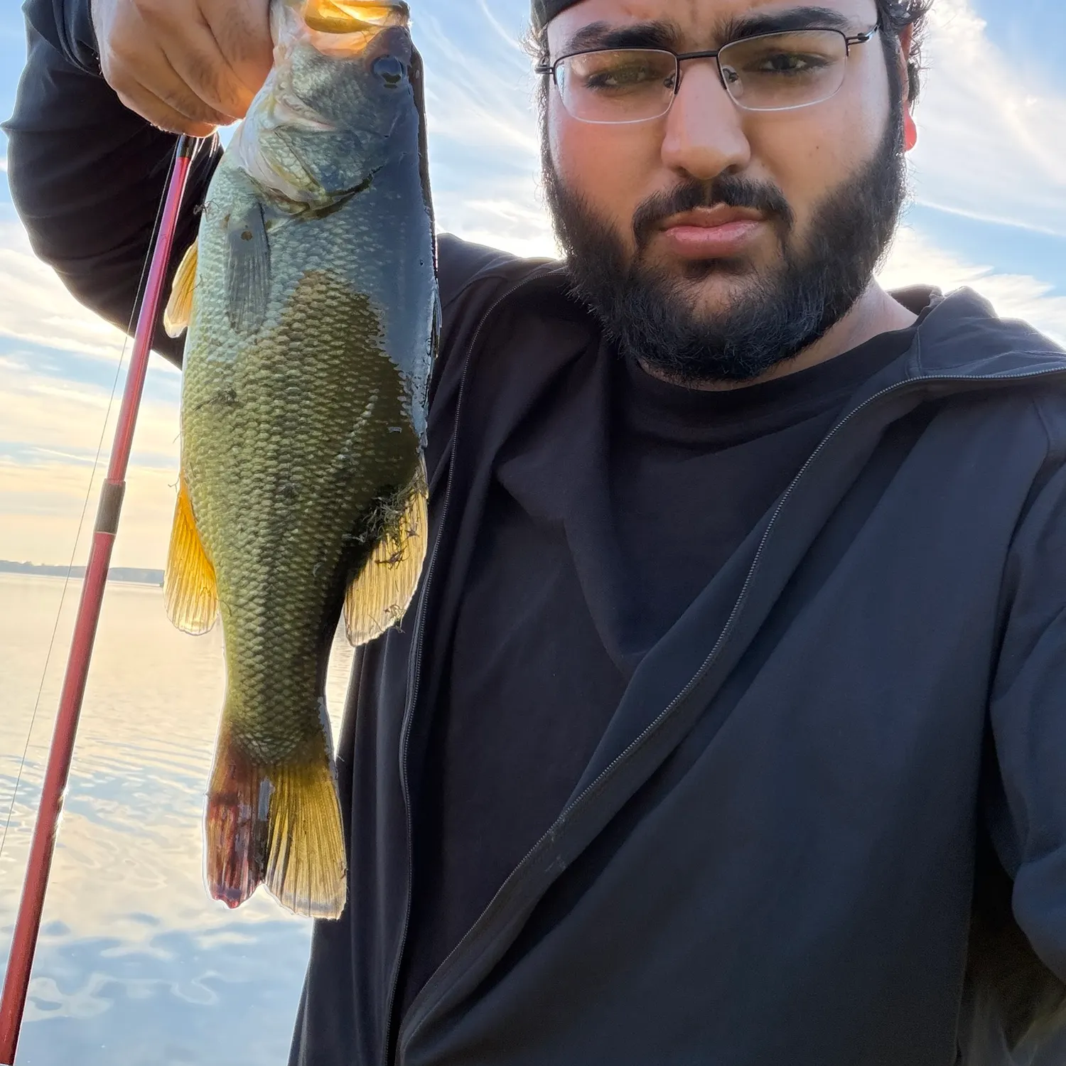 Largemouth bass caught on Fishbrain