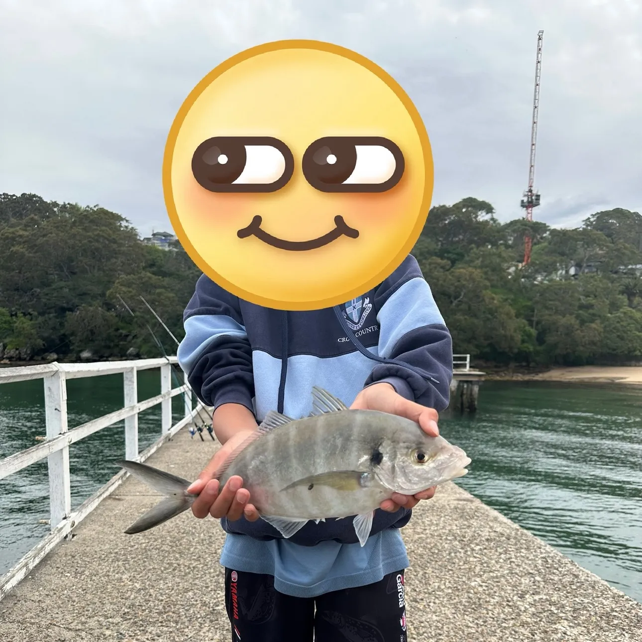 The most recent White trevally catches on Fishbrain