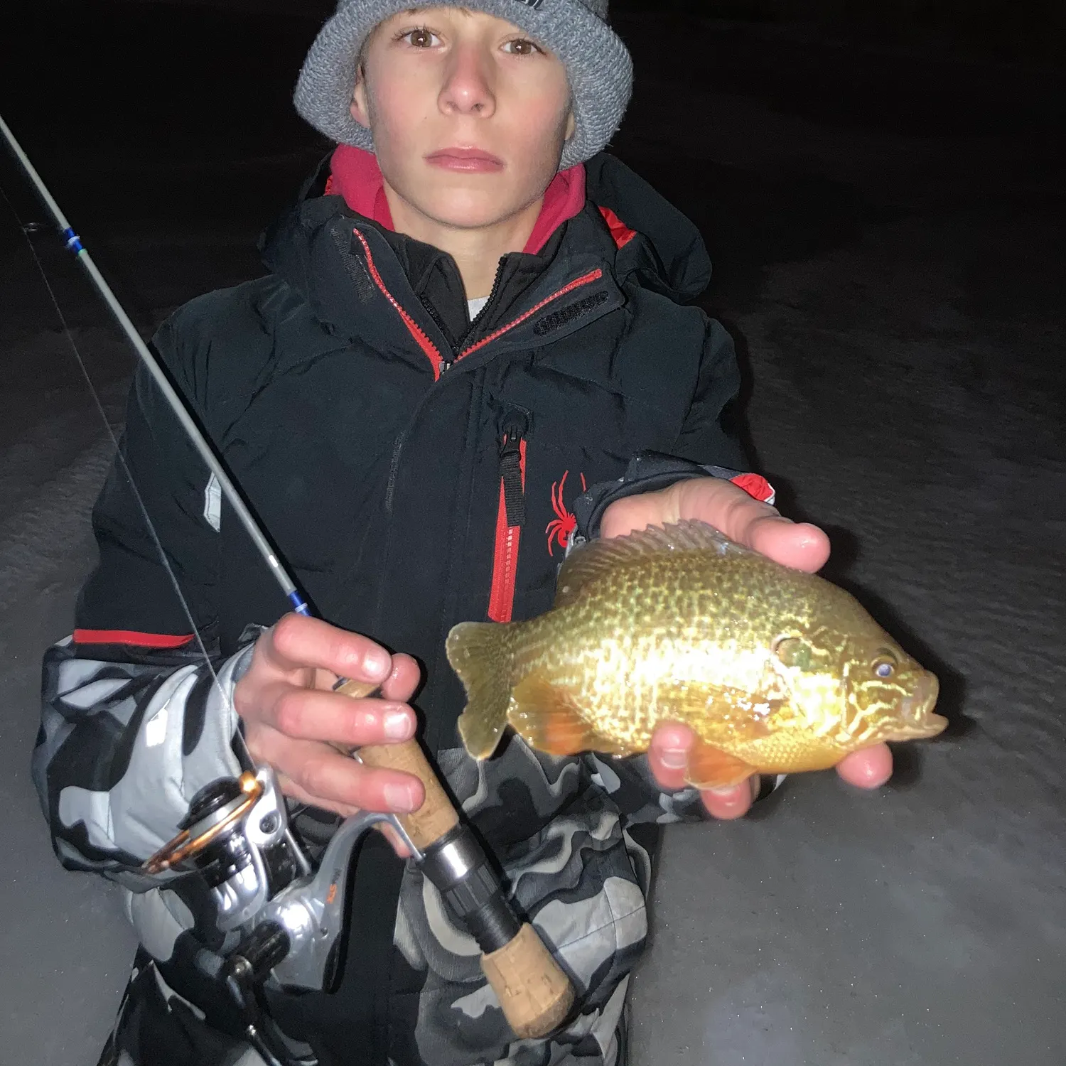 The most recent Pumpkinseed catches on Fishbrain