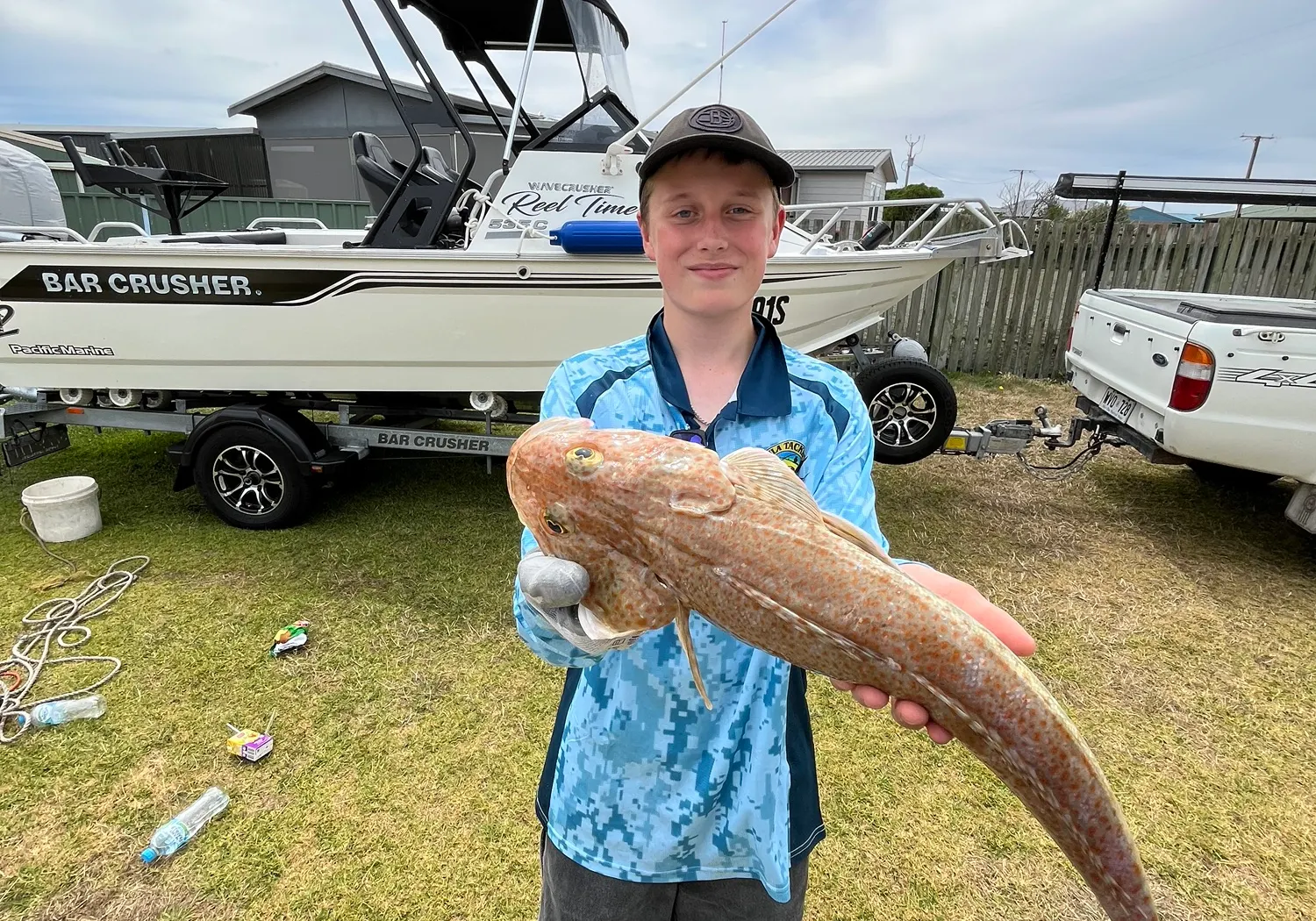 Tiger flathead