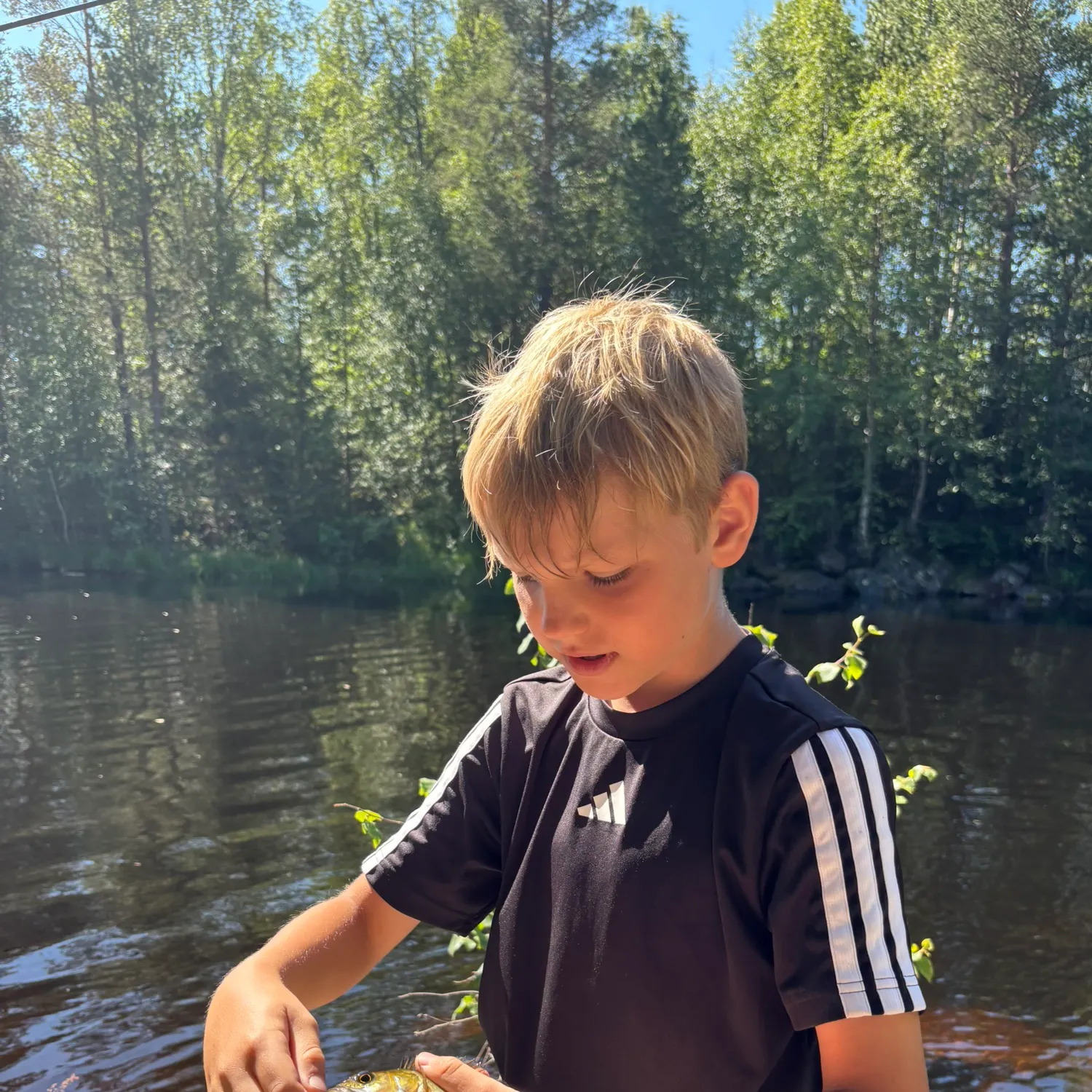 Fish caught on Fishbrain