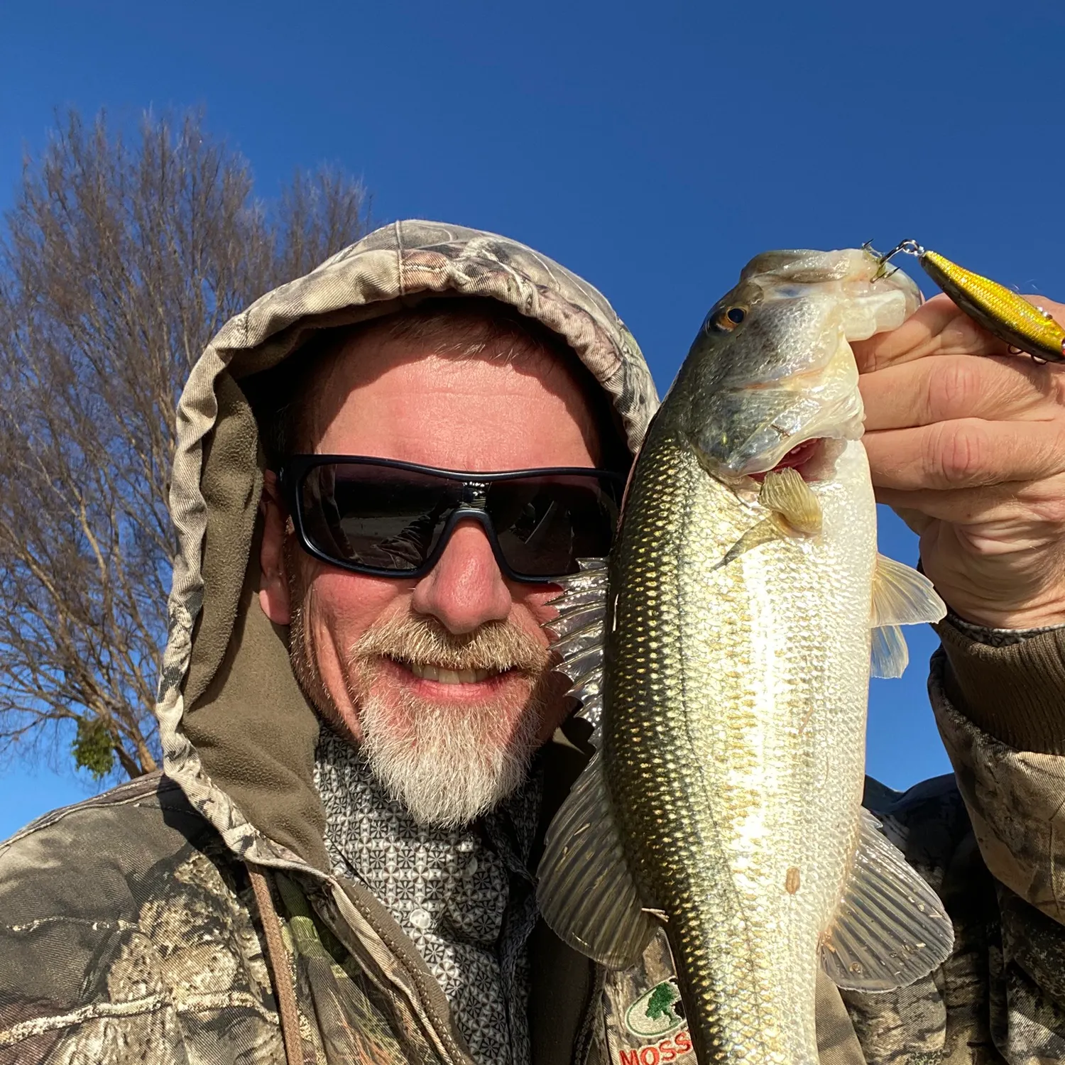 The most recent Largemouth bass catches on Fishbrain