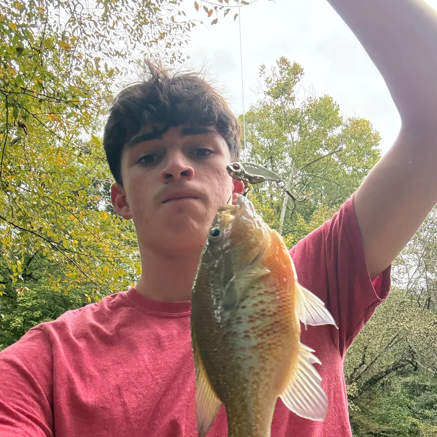 Redbreast sunfish caught on Fishbrain