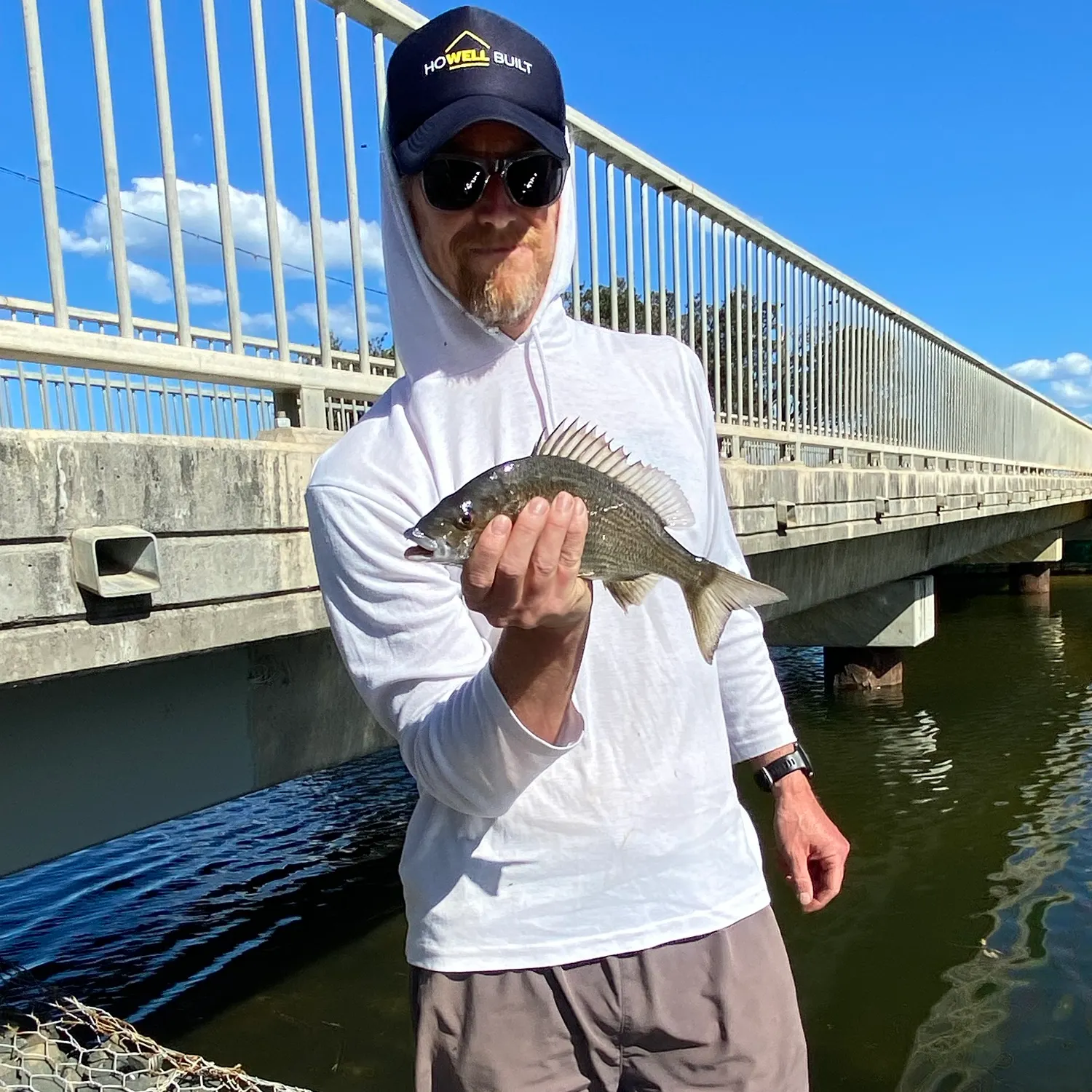 Surf bream caught on Fishbrain