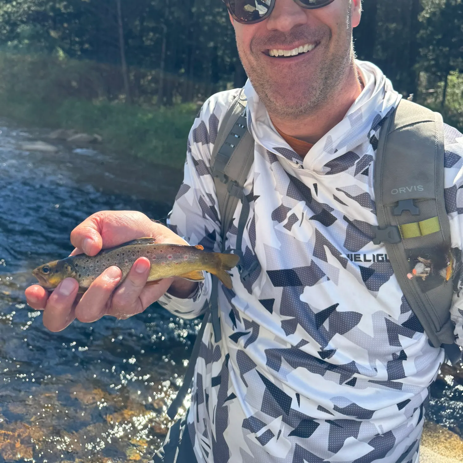 Brown trout caught on Fishbrain